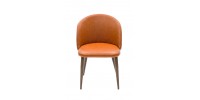 Crescent Dining Chair DCT15